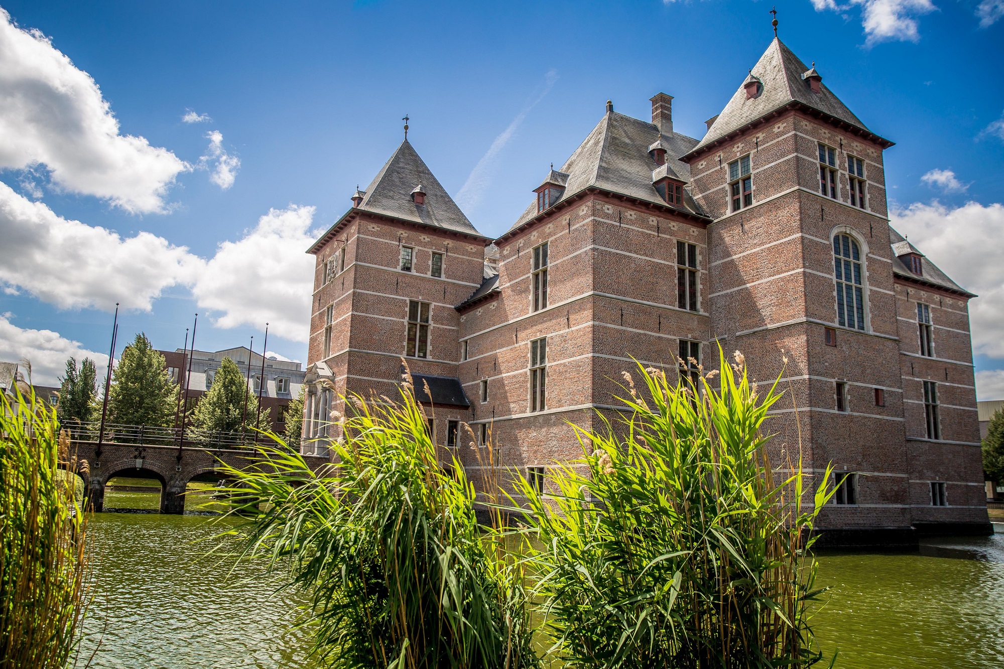 Baert Antiek is uw ervaren antiquair in Turnhout en de Kempen.