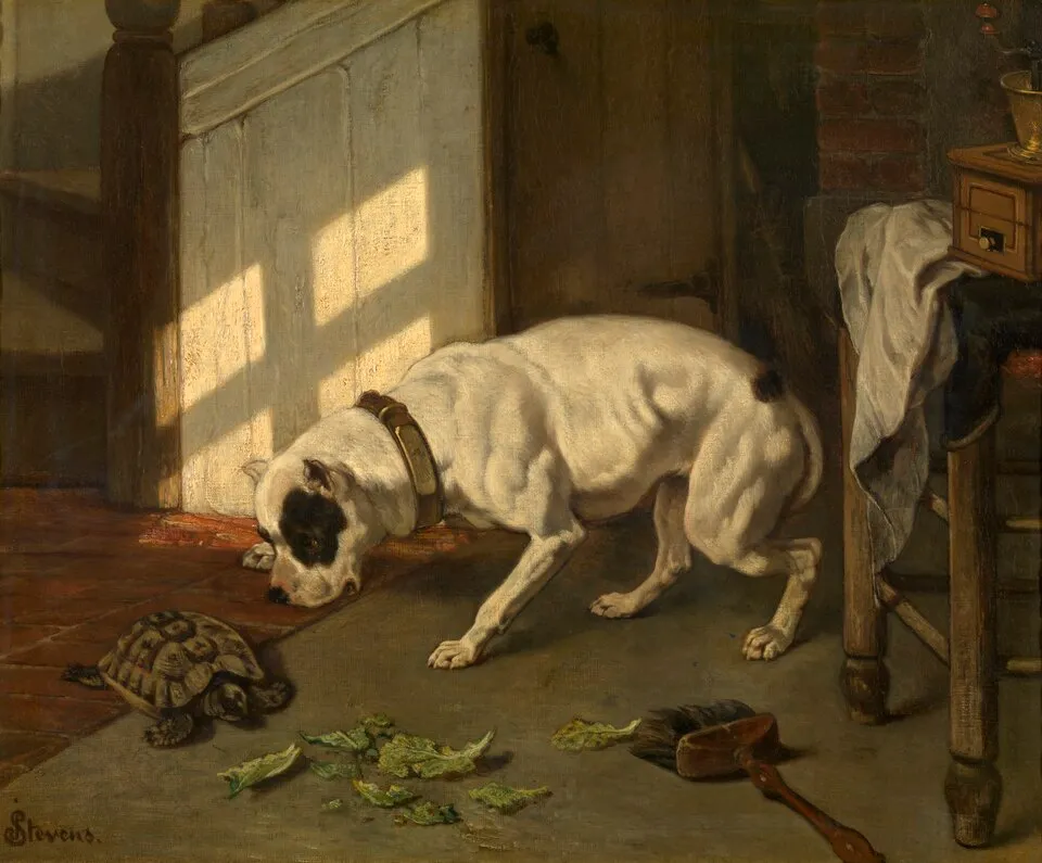 Joseph Stevens
